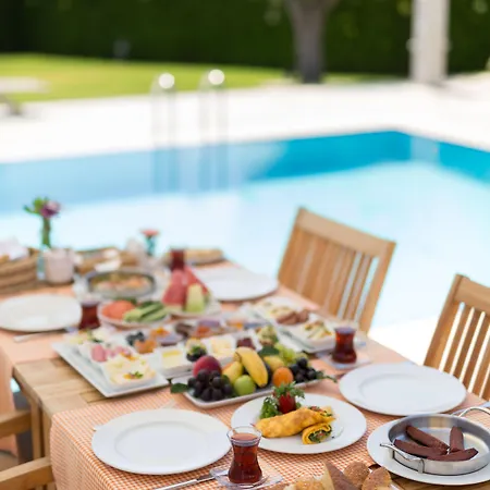 Hotel Ida Costa - Special Category