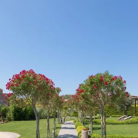 Ida Costa - Special Category Hotel Assos
