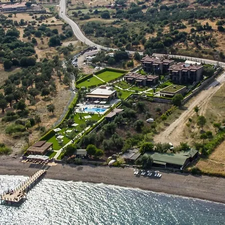 Ida Costa - Special Category Behram