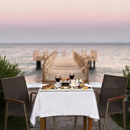 Ida Costa - Special Category Hotel