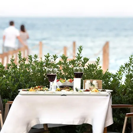 Ida Costa - Special Category Behram