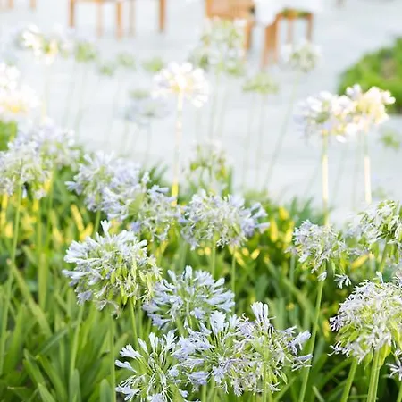 Ida Costa - Special Category Behram