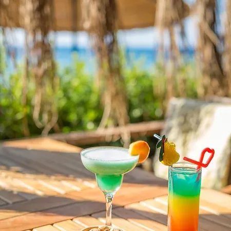 Ida Costa - Special Category 3*