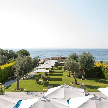 Ida Costa - Special Category