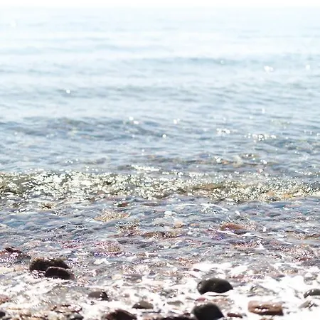 Ida Costa - Special Category 3* Behram