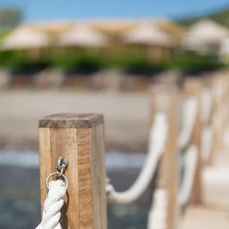 Ida Costa - Special Category