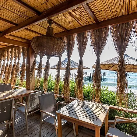 Ida Costa - Special Category 3*