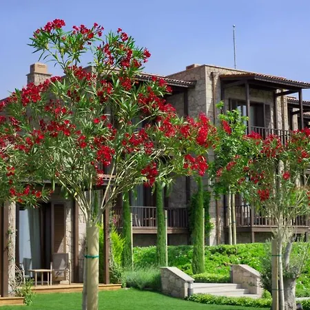 Ida Costa - Special Category Otel Behram