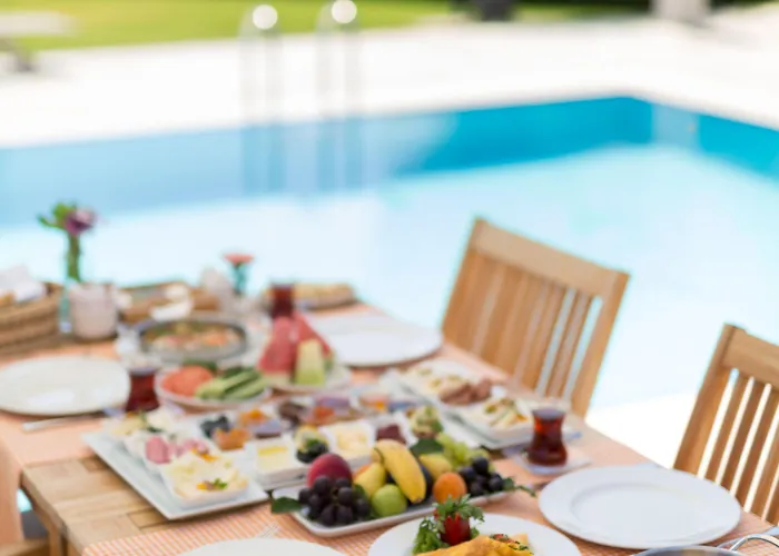 Ξενοδοχείο Ida Costa - Special Category