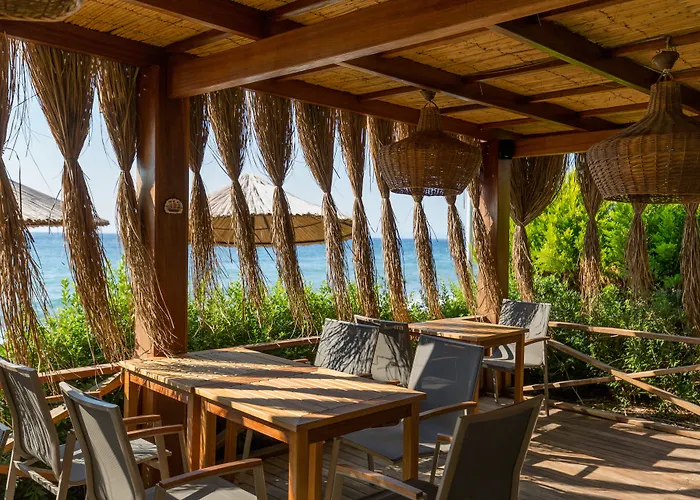 Ida Costa - Special Category 3*