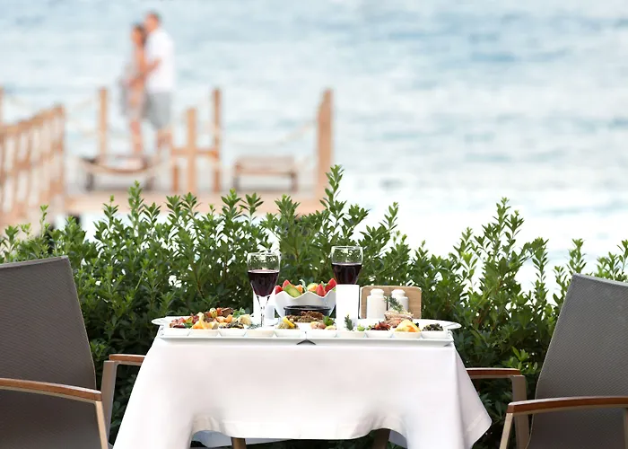 Ida Costa - Special Category 3*