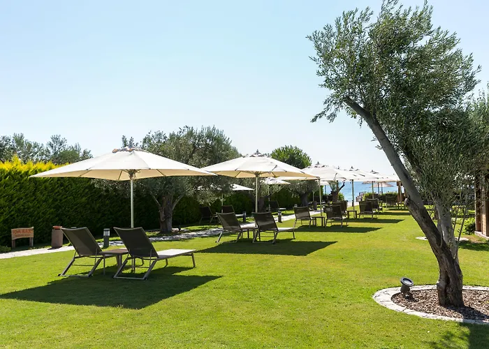 Ida Costa - Special Category 3*