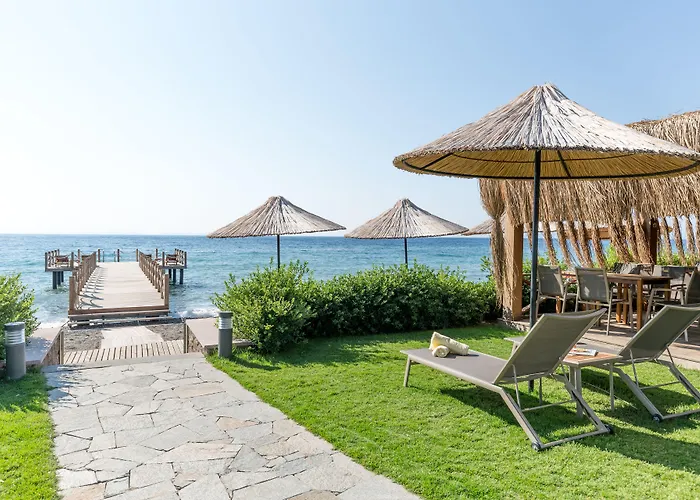 Ida Costa - Special Category Ξενοδοχείο