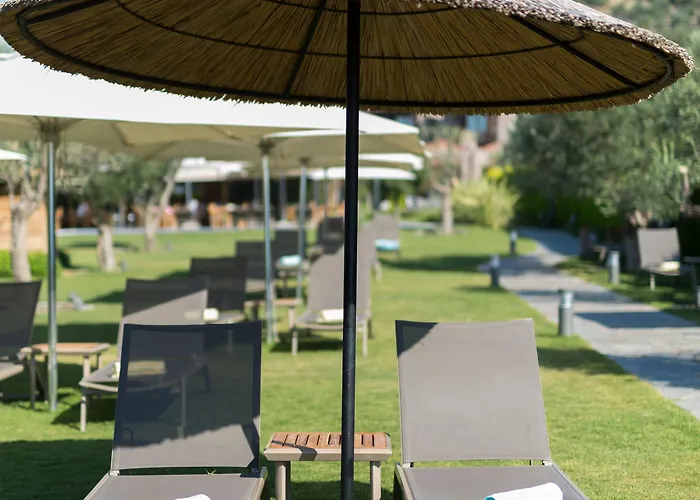 Ξενοδοχείο Ida Costa - Special Category Assos