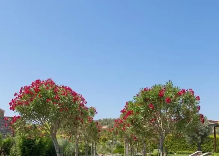 Ida Costa - Special Category Ξενοδοχείο Assos