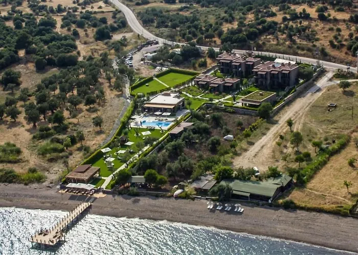 Ida Costa - Special Category Assos