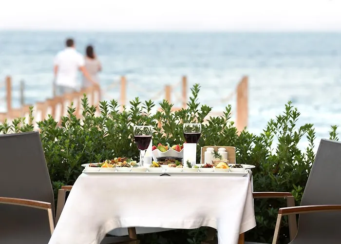 Ida Costa - Special Category Assos