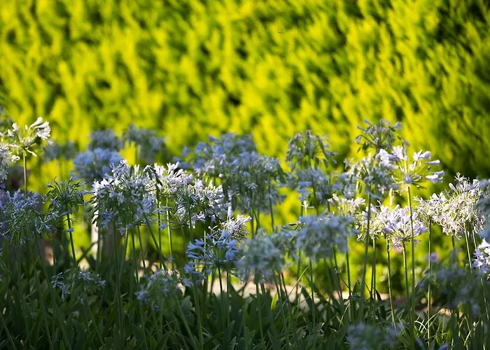 Ξενοδοχείο Ida Costa - Special Category