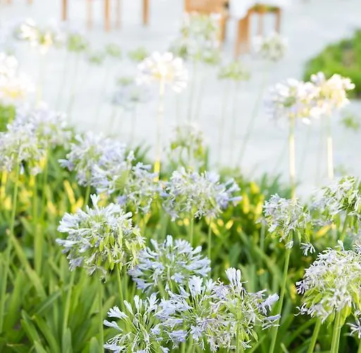 Ida Costa - Special Category Assos