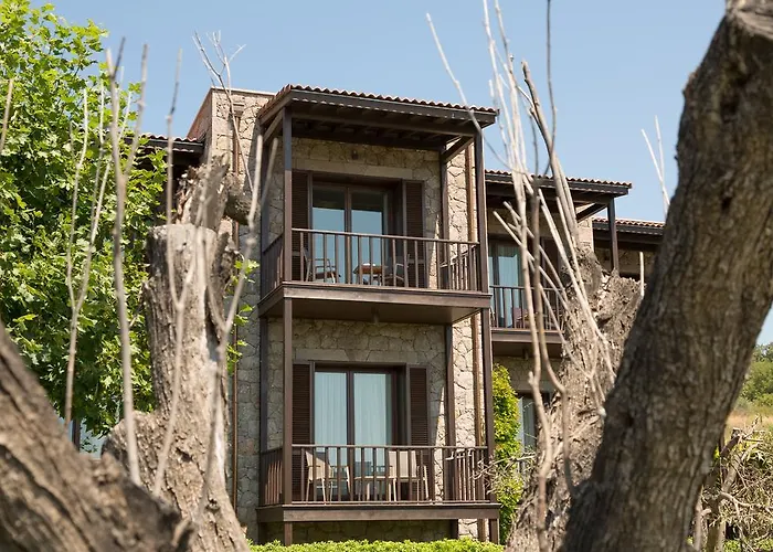 Ida Costa - Special Category 3* Assos