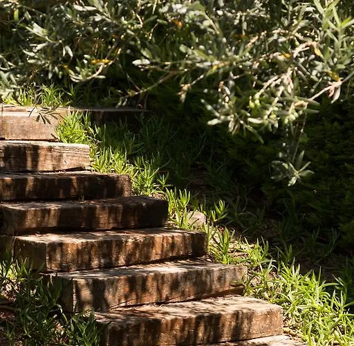 Ξενοδοχείο Ida Costa - Special Category