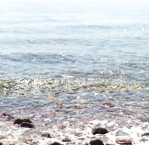 Ida Costa - Special Category 3* Assos