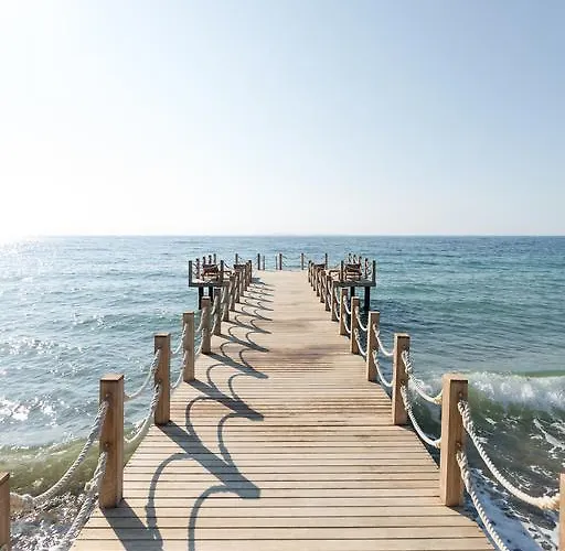 Ida Costa - Special Category 3* Assos