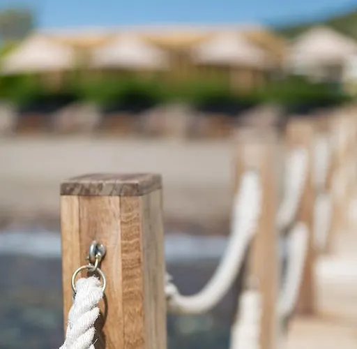 Ida Costa - Special Category