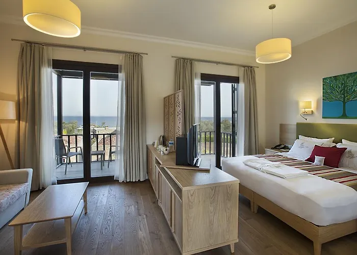 Ida Costa - Special Category Assos