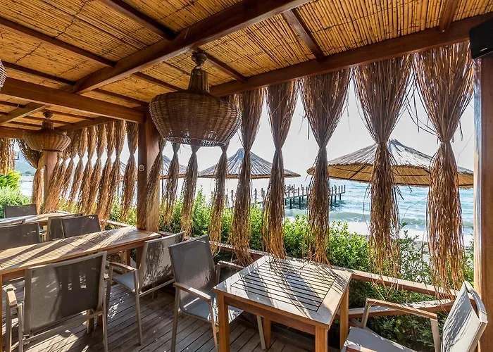 Ida Costa - Special Category 3*