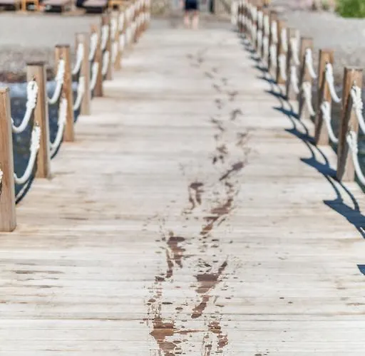 Ida Costa - Special Category 3* Assos