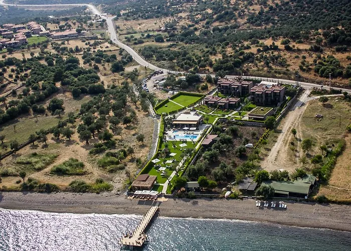 Ida Costa - Special Category Ξενοδοχείο Assos