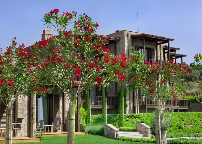 Ida Costa - Special Category Ξενοδοχείο Assos